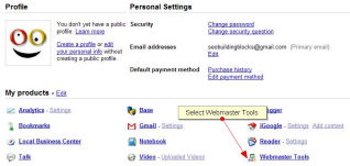 Google Webmaster Tools Page