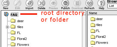 Root Directory in SiteBuilder