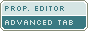 Properties Editor Advanced Tab Page